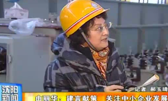 董事长作为政协委员认真履职建言献策《沈阳新闻》 2012/12/26